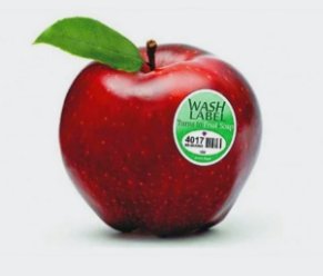 Fruit Label by Tong Yong Singapore